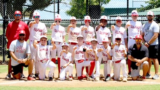 12&U Dogs Win Regional, Head To State Tournament