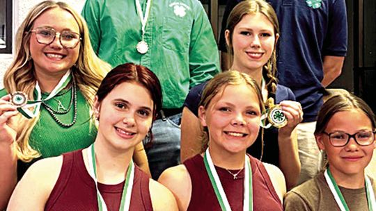 4-H Members Win District Awards
