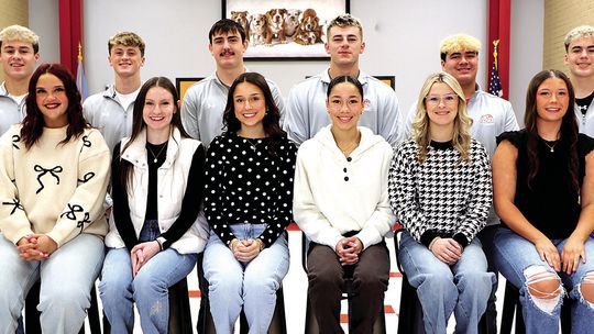 Basketball Homecoming Candidates Announced