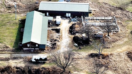 County Marijuana Grow Operation Taken Down