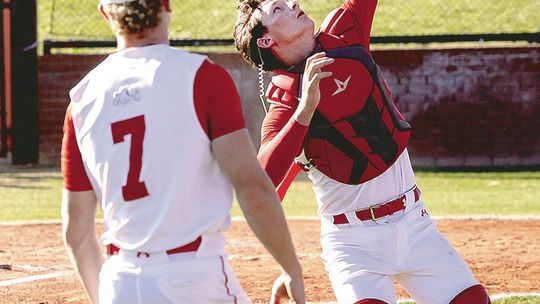 Dogs Blast Their Way To Perfect Week In Baseball