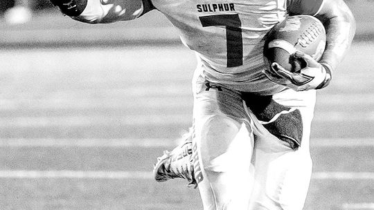 Dogs Display Grit, But Lose To Gunter, 29-17
