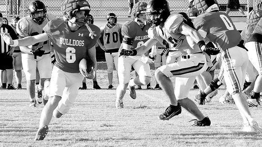 Dogs Take Another Step Forward In Lindsay Scrimmage
