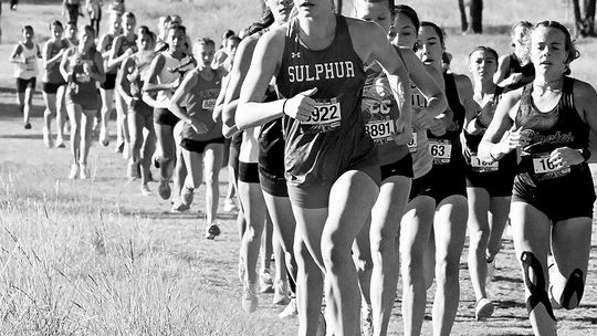 Lady Dogs 2nd, Boys 3rd In LCC Meet