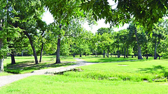 Restoration Of A Defeated Landscape