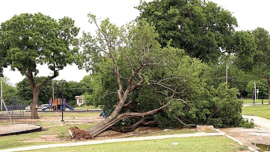 Storms Pummel Area