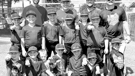 Sulphur Little League Teams Advance To State