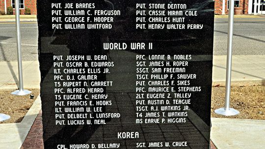 Vietnam Veterans Of America Plan Dissolution