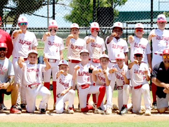 12&U Dogs Win Regional, Head To State Tournament