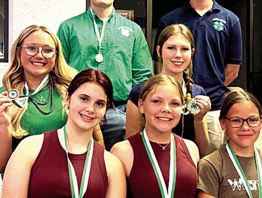 4-H Members Win District Awards