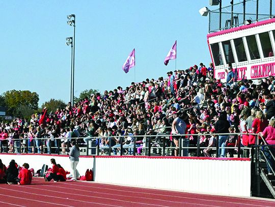 Cheering On The Bulldogs