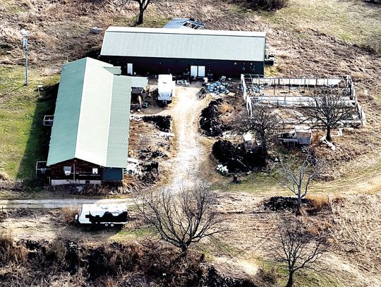 County Marijuana Grow Operation Taken Down