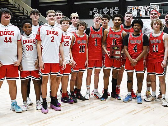 Dogs Advance To Regional After District Title Win