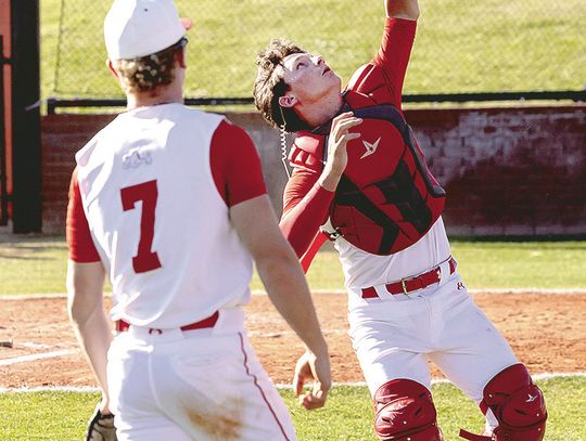 Dogs Blast Their Way To Perfect Week In Baseball