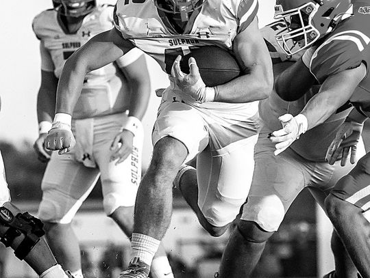 Dogs Dominate Wolves In Second Take Down Of Defending State Champ