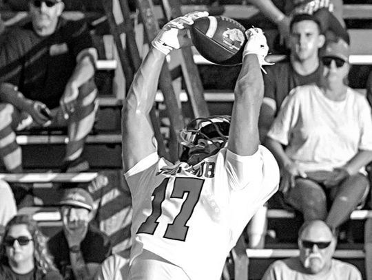 Dogs Get A Good Test In Lindsay Scrimmage