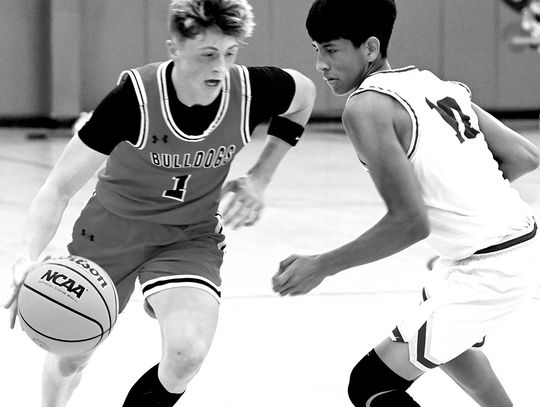 Dogs Go 1-1 In BB Action