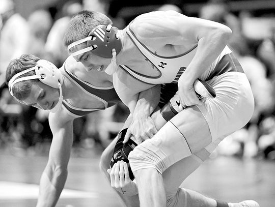 Dogs Lose Opening Match To Bristow In Dual State