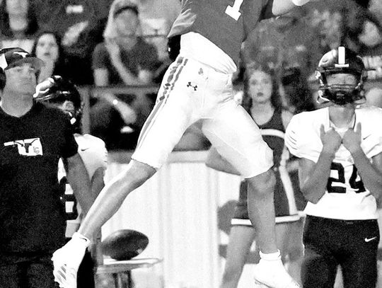 Dogs Remain Undefeated In Dominating Win Over LG