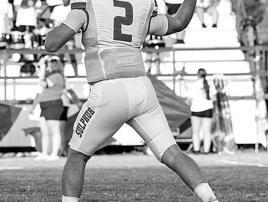 Dogs Sprint Past Cache In 42-Point First Half