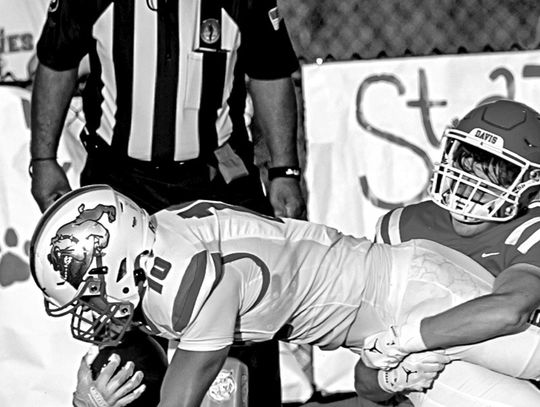 Dogs Strap On The Pads; Red/White Game Friday