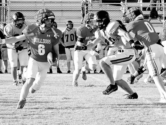 Dogs Take Another Step Forward In Lindsay Scrimmage