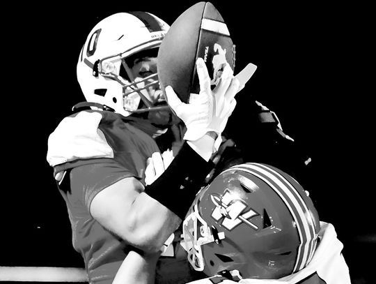 Dogs Win OT Thriller