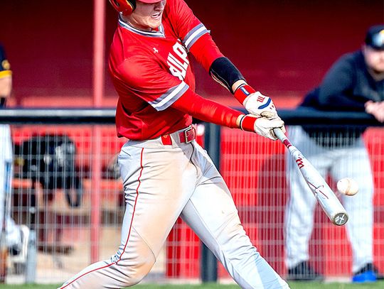Five Dogs Named To 4A-3 All-District Baseball Team
