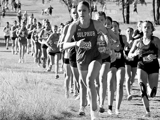 Lady Dogs 2nd, Boys 3rd In LCC Meet