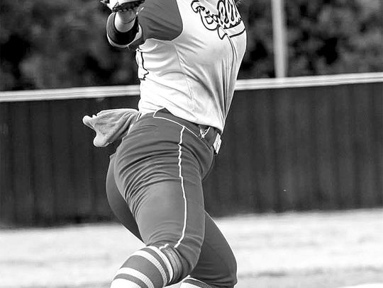 Lady Dogs Fast Out Of The Gate