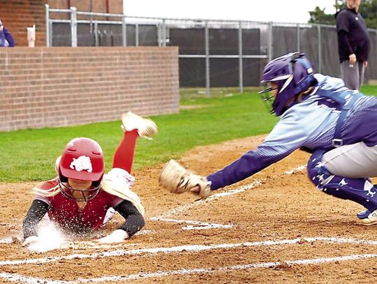 Lady Dogs Surge On The Diamond