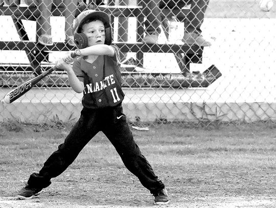 Little League Action In Full Swing
