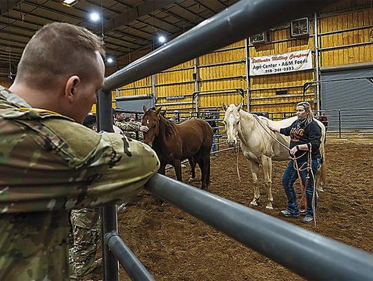 OSU Extension DART Program Assists In Sulphur Emergency Response, Recovery