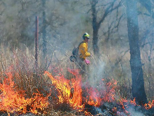 	Park Preps For Two Prescribed Fires