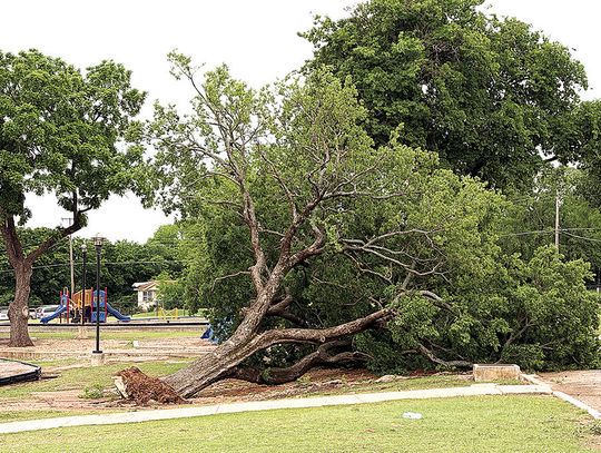 Storms Pummel Area