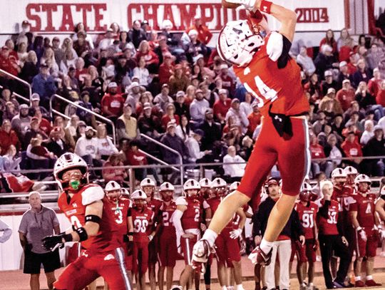 Sulphur Bulldogs Advance To Elite Eight In Playoffs