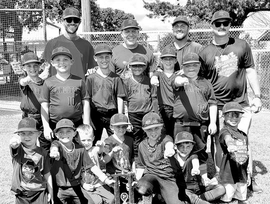 Sulphur Little League Teams Advance To State