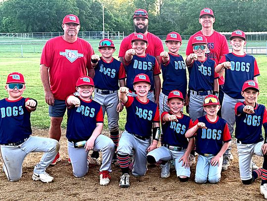Sulphur Little League Teams Headed To Lindsay For Regionals