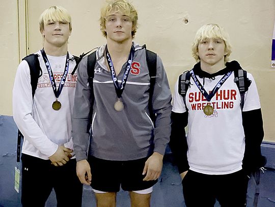 Three Wrestlers Win State Medals