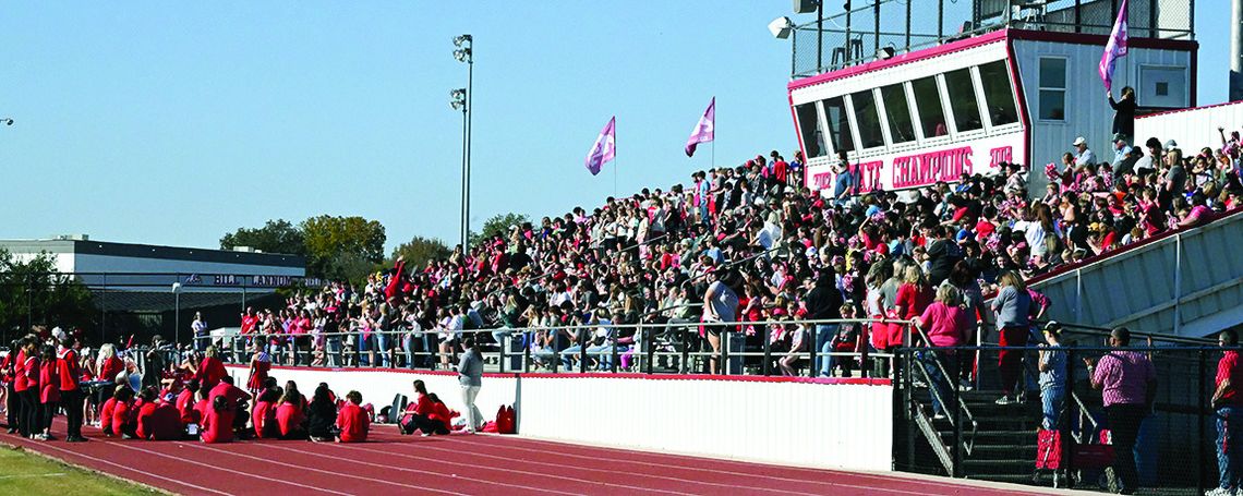 Cheering On The Bulldogs Cheering On The Bulldogs