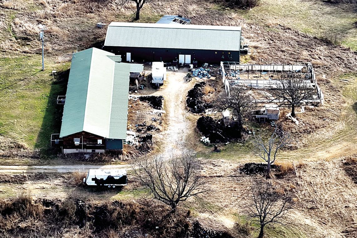 County Marijuana Grow Operation Taken Down