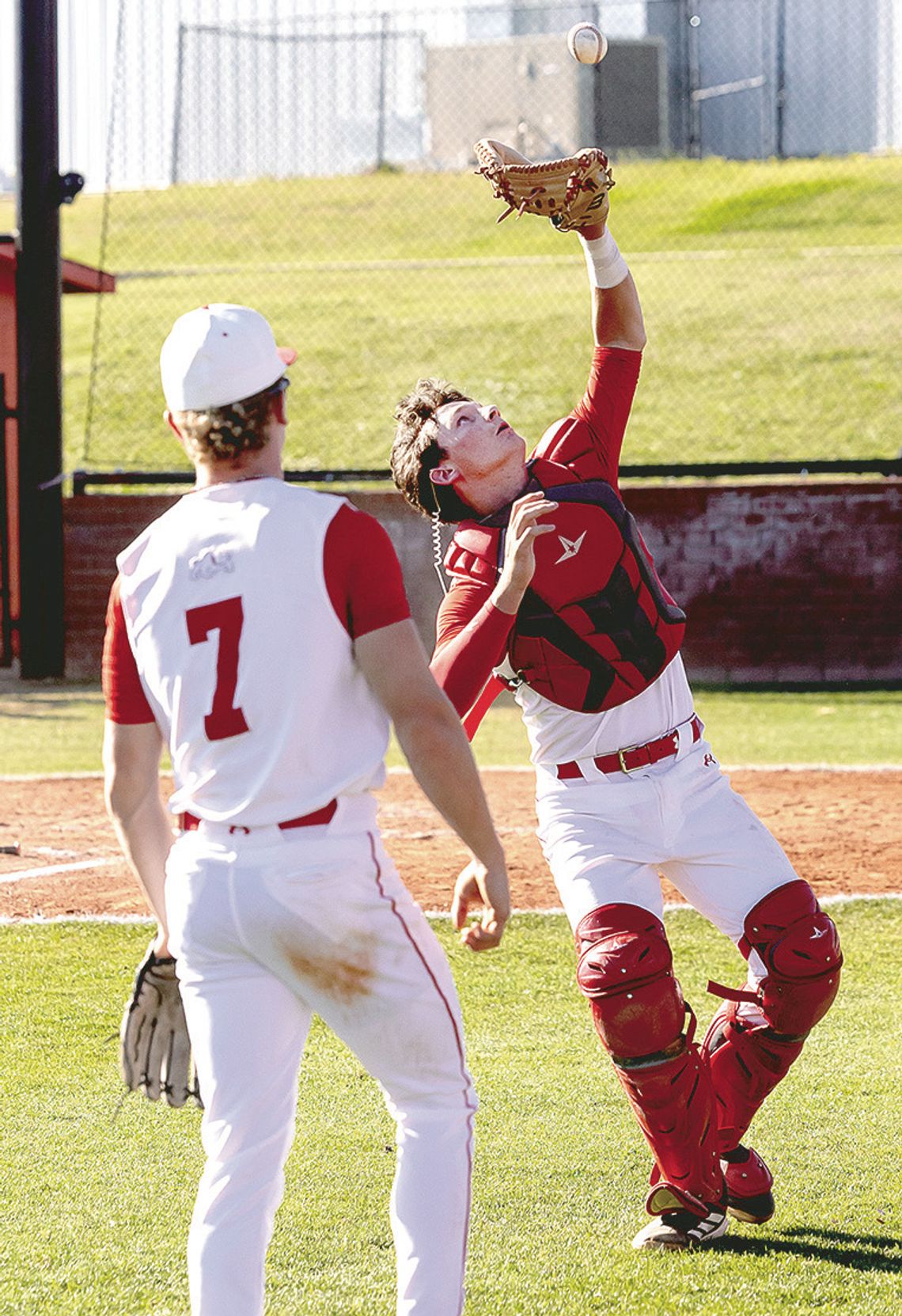 Dogs Blast Their Way To Perfect Week In Baseball Dogs Blast Their Way To Perfect Week In Baseball