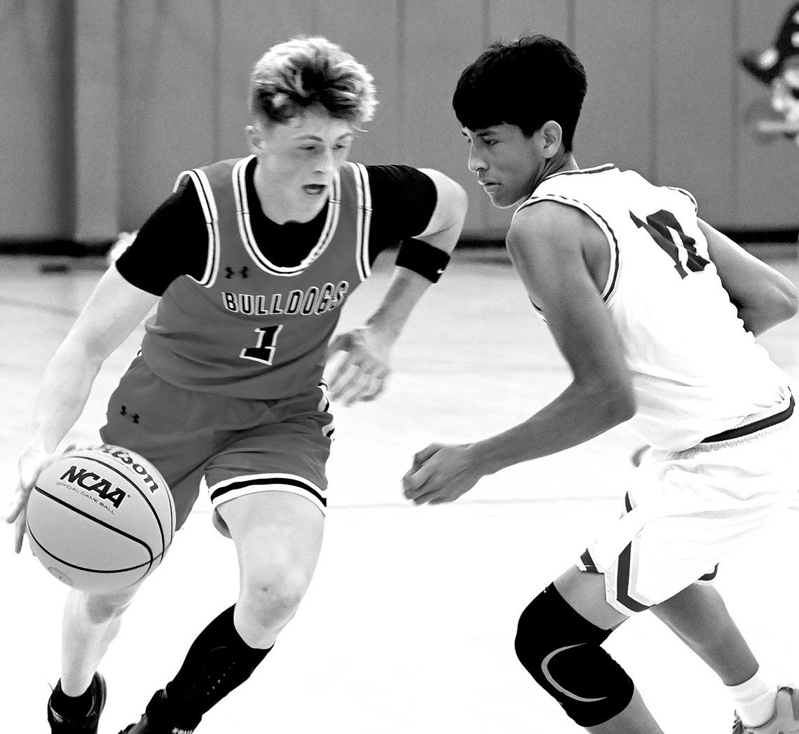 Dogs Go 1-1 In BB Action Dogs Go 1-1 In BB Action