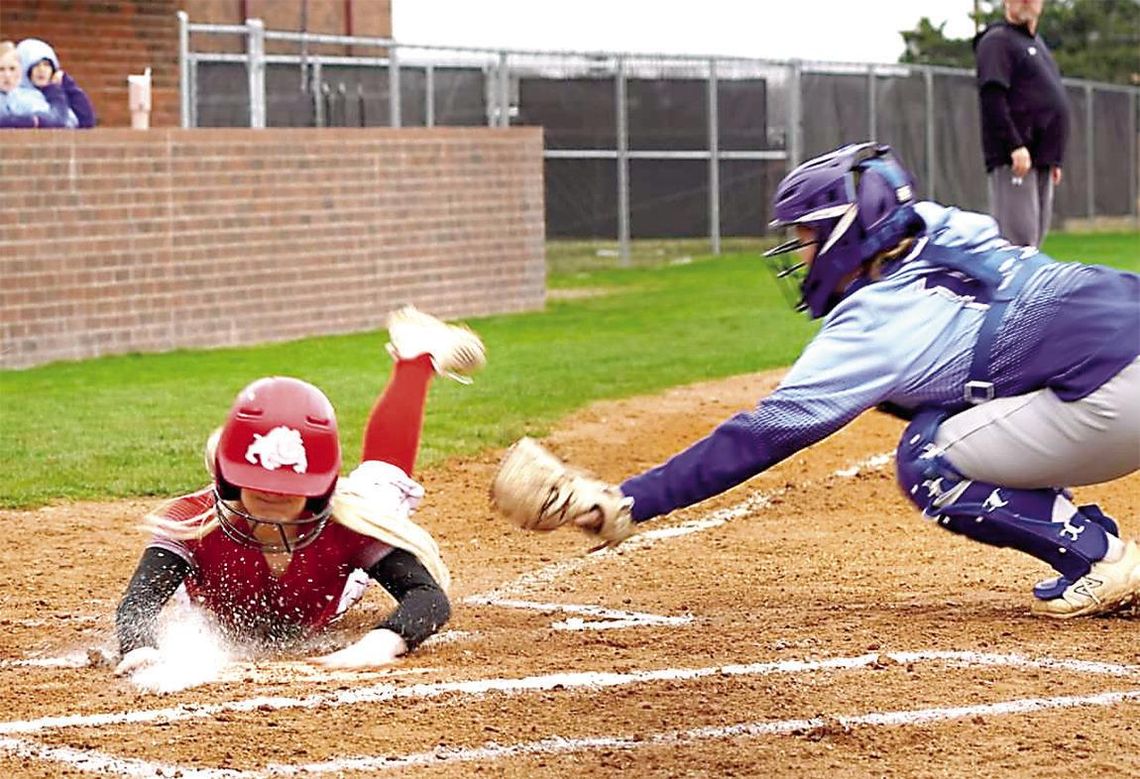 Lady Dogs Surge On The Diamond