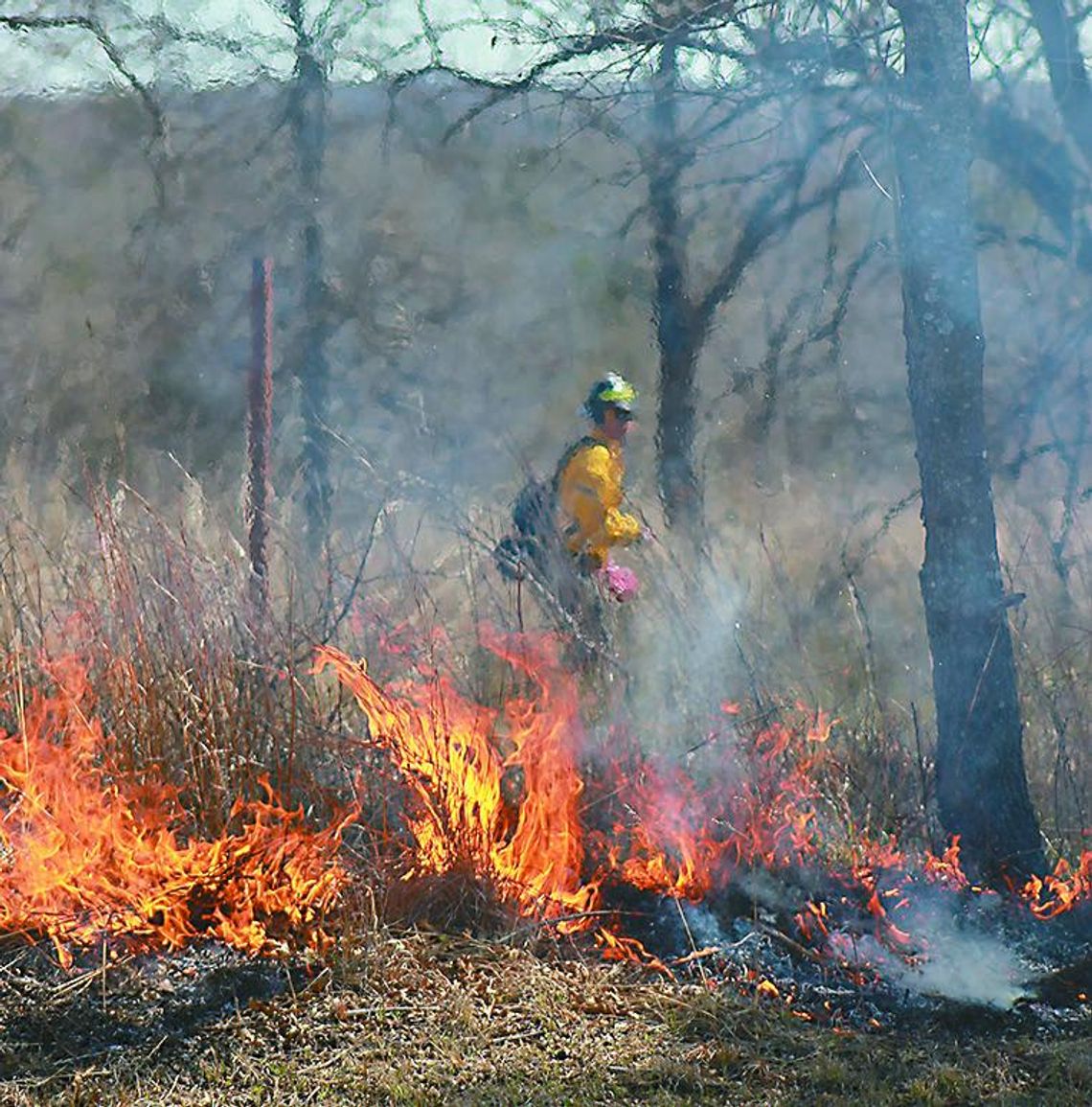 	Park Preps For Two Prescribed Fires