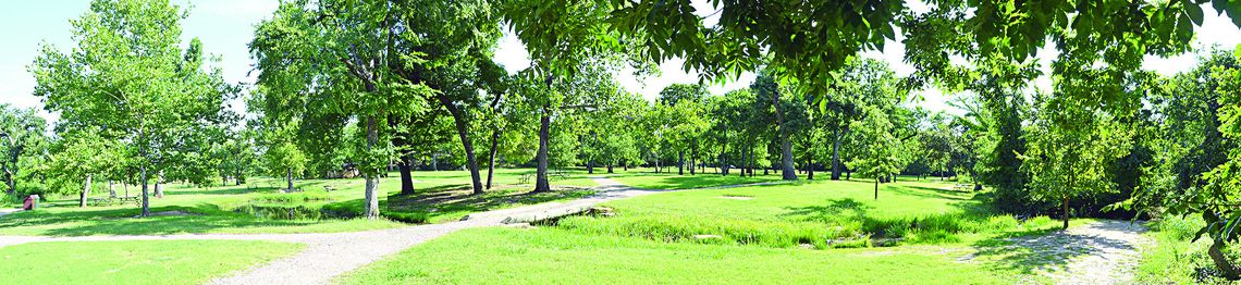 Restoration Of A Defeated Landscape