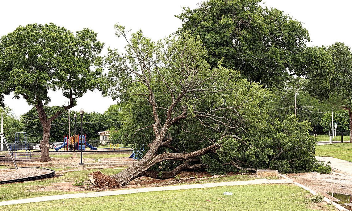 Storms Pummel Area