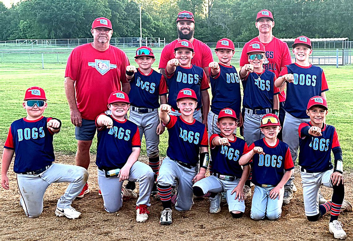 Sulphur Little League Teams Headed To Lindsay For Regionals
